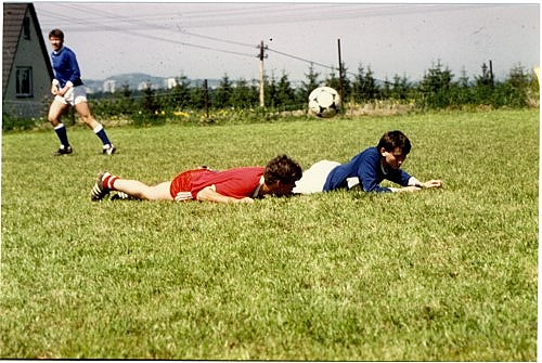 Deckung-1986-500x335