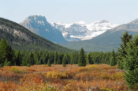 Bow Valley Parkway (Banff National Park)