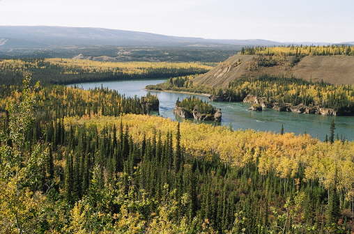 Five Finger Rapids (Yukon)