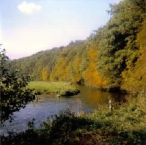 Am Kretzer Bach 1983